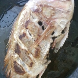 鯛の酒蒸し レシピ 作り方 By Startrek 楽天レシピ 鯛の酒蒸し レシピ 作り方 By Startrek 楽天レシピ